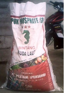 Pupuk SP36 Bersubsidi