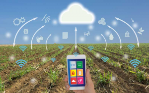 Agriculture 4.0 : Solusi Digital Baru Dalam Agribisnis